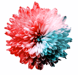 Tritanotopija: sljepoća na plavu boju