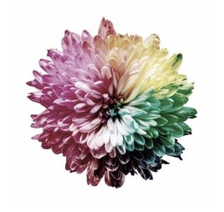 Monokromatija s plavim čunjićima