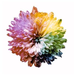 Deuteronomalija: zelena boja je slaba