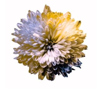 Deuteranopija: sljepoća na zelenu